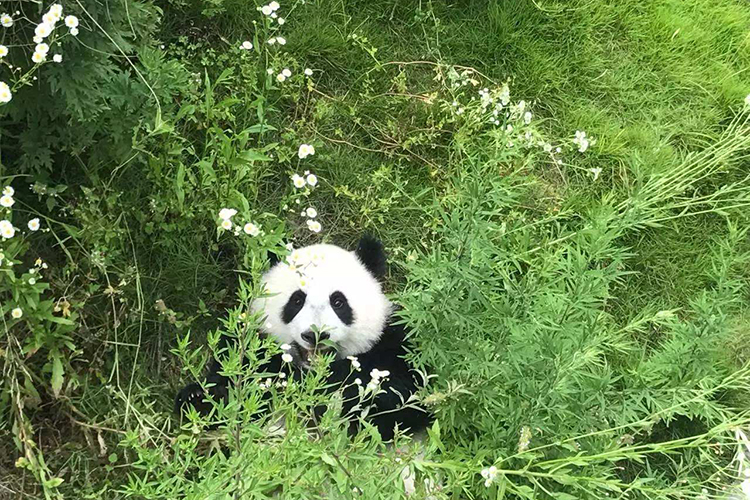 月亮处女男爱的体现 完完全全的掌控欲(图1)