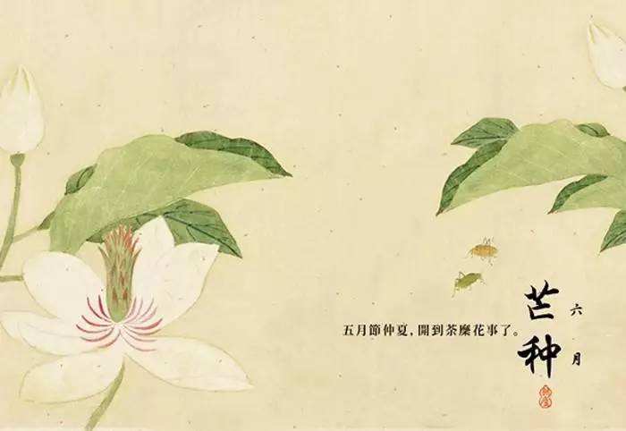 2021芒种日子好不好,2021芒种开业日子适合吗？(图1)