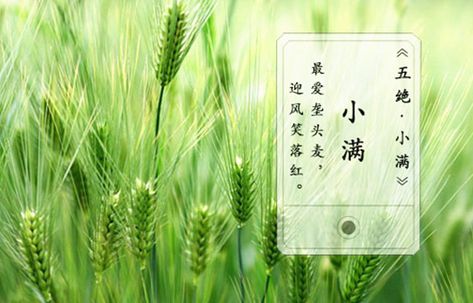 2021年小满节气有何忌讳，小满禁忌解析！(图1)