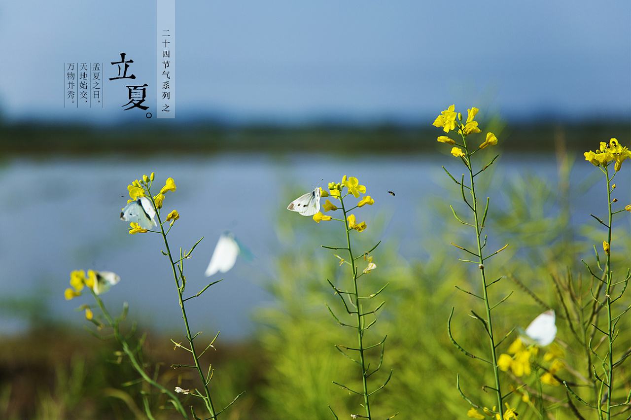 2021年5月5日立夏节气日子好吗,立夏适合烧香祈福吗？(图1)