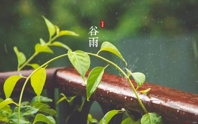 谷雨节气为什么要祭仓颉？谷雨三侯又是哪三侯？(图1)