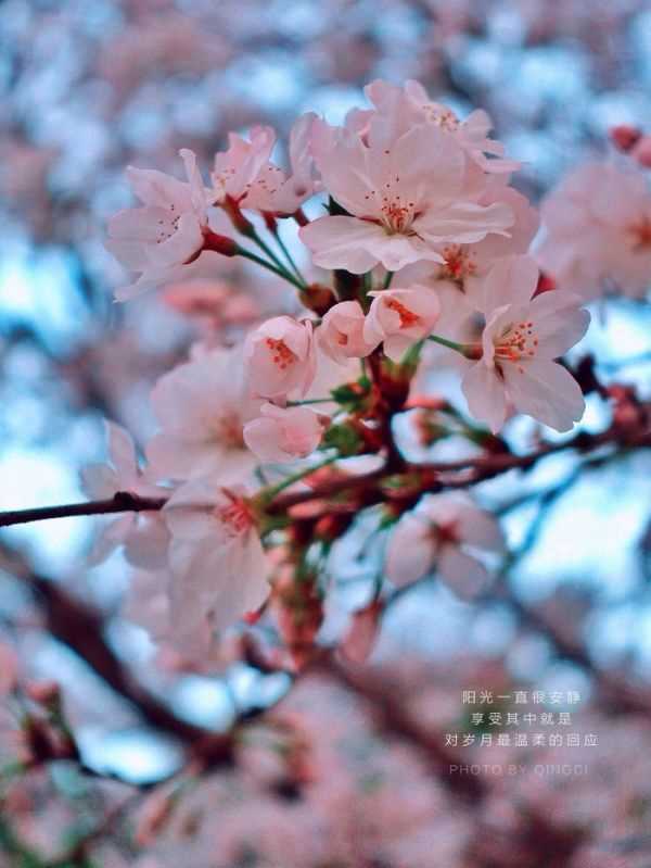 姓傅男孩名字有诗意(图1)