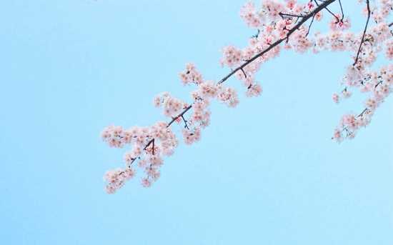 姓弘男孩寓意吉祥的名字大全(图1)