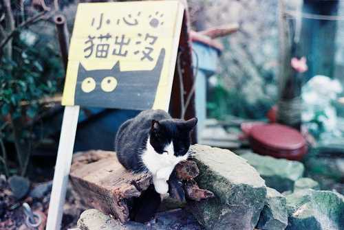 姓乌男孩三个字名字大全 乌姓3个字男宝宝起名(图1)