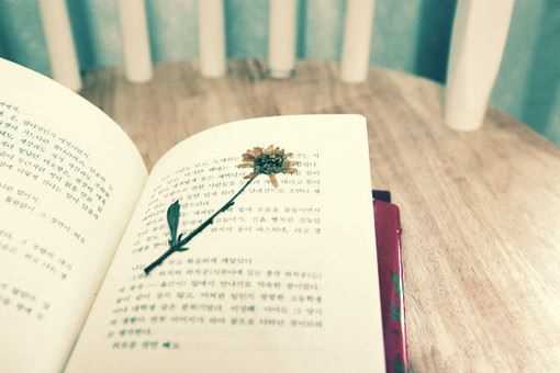 狗年姓印男孩名字大全 属狗印姓男宝宝起名2018(图1)