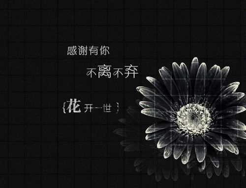 狗年姓陆男孩名字大全 属狗陆姓男宝宝起名2018(图1)