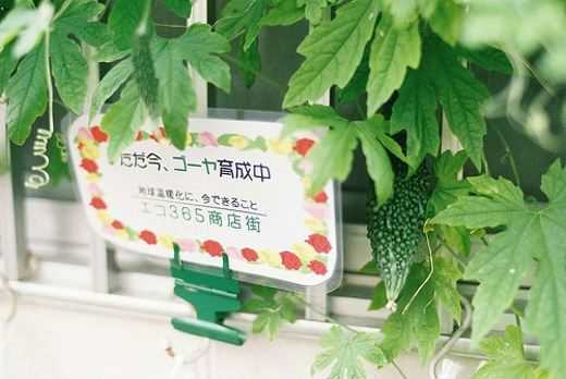 姓邬男孩寓意吉祥的名字大全(图1)