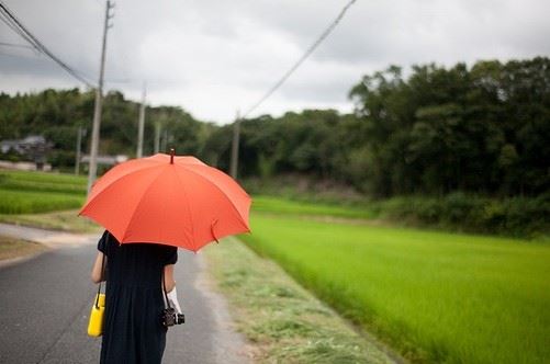 楚姓取名男孩霸气(图1)