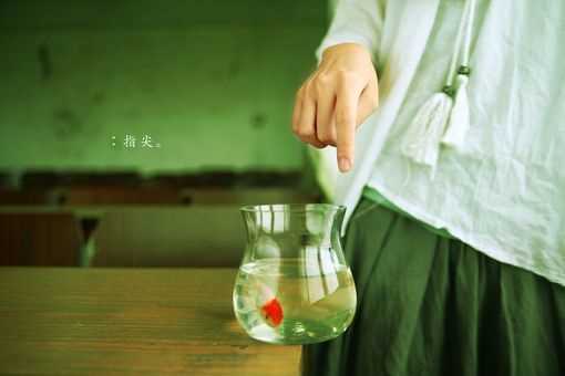 姓夹谷男孩寓意吉祥的名字大全(图1)