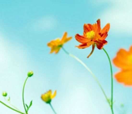 姓朱男孩寓意吉祥的名字大全(图1)