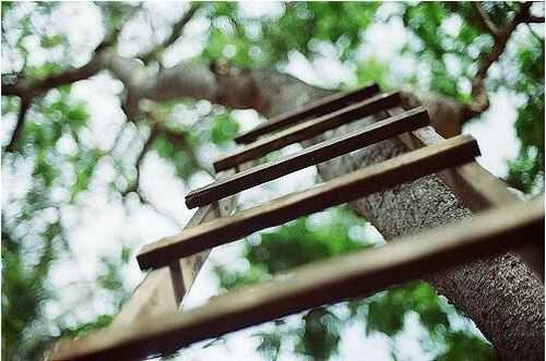 姓任男孩寓意吉祥的名字大全(图1)