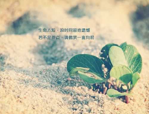 狗年姓裴男孩名字大全 属狗裴姓男宝宝起名2018(图1)